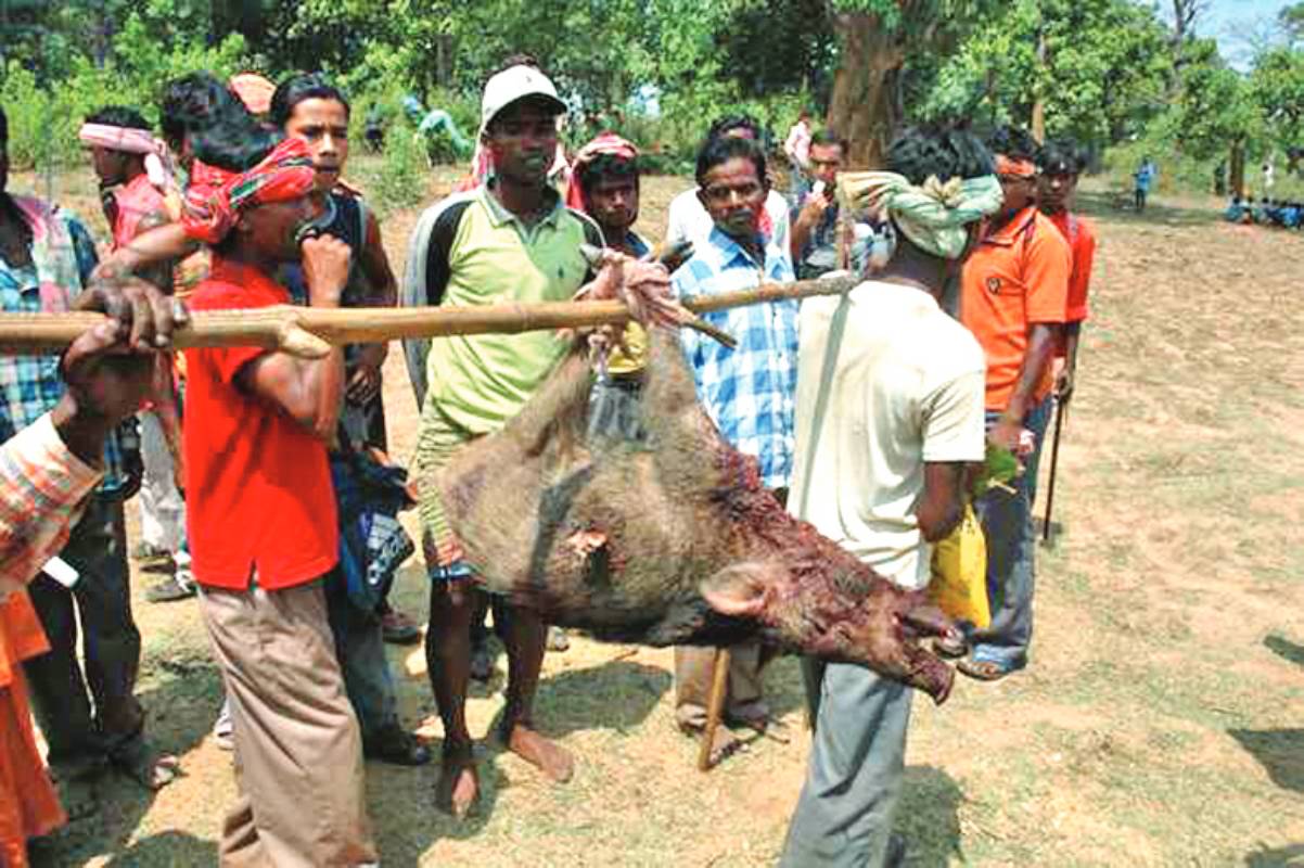 Naka-checks at Ayodhya Hills entry points to stop hunting