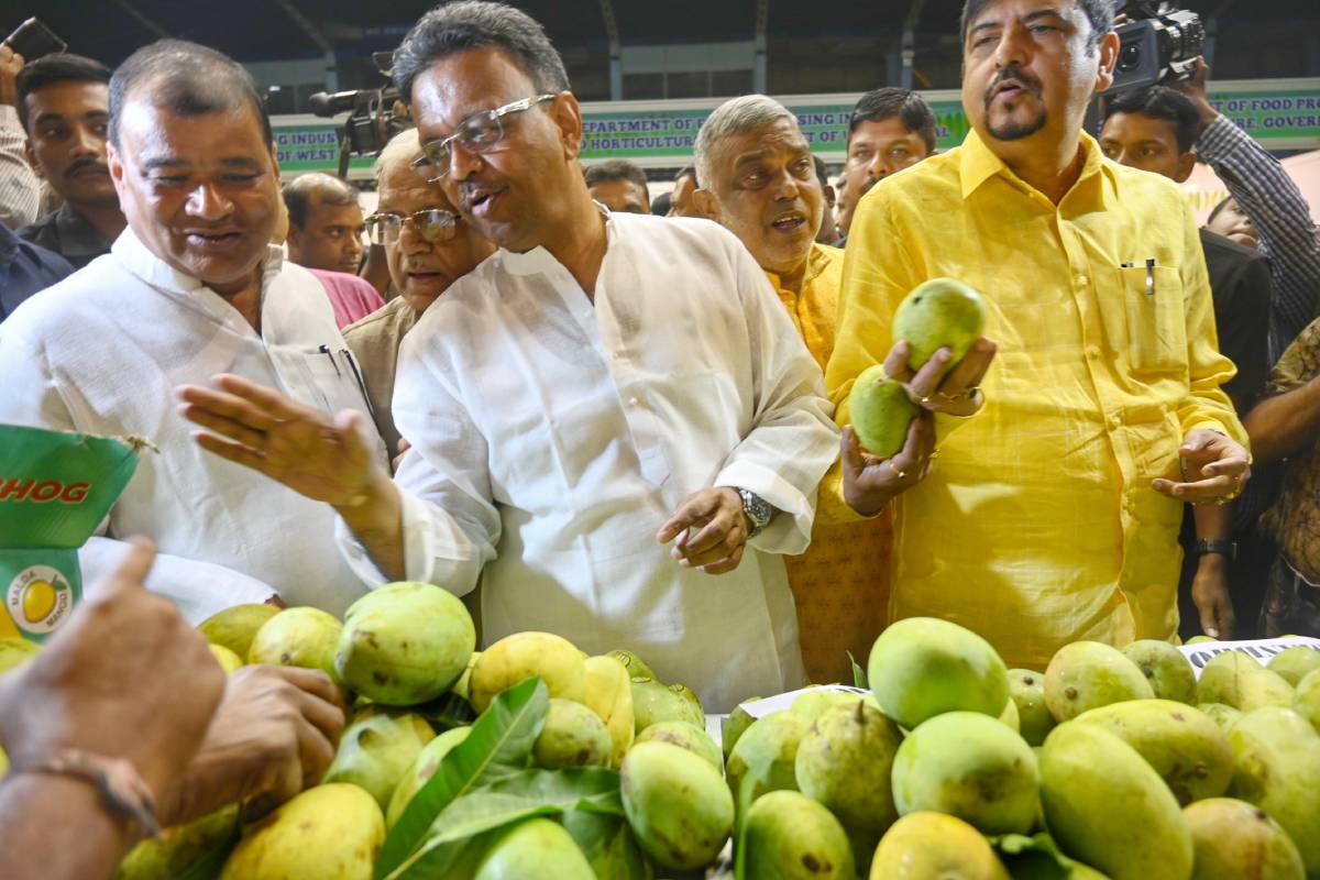 State explores export possibilities of Bengal mangoes