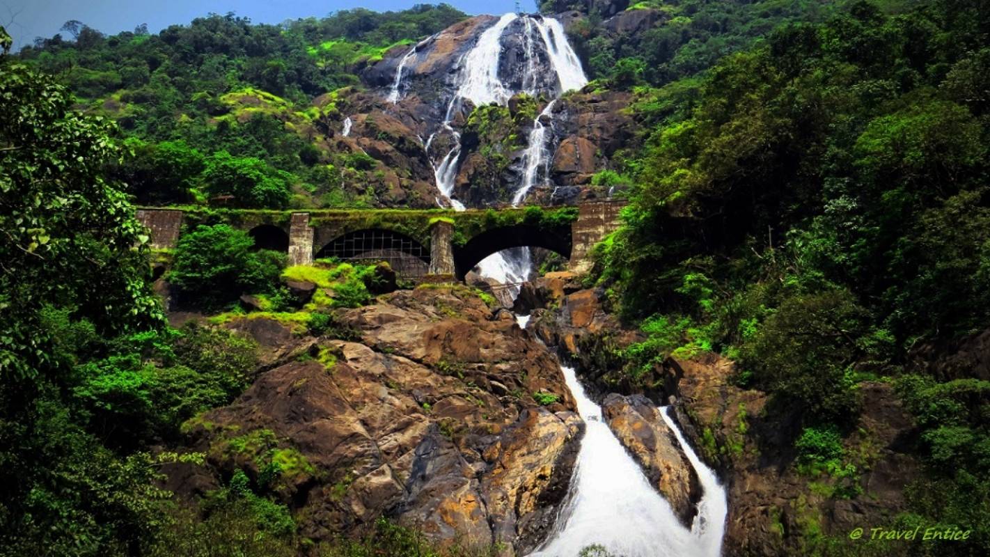 Jeep journey to Dudhsagar waterfall in Goa stopped