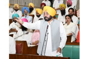 To eliminate gangster culture, will introduce law & order reforms: Mann