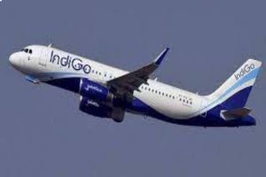 Indigo flight fails to land at Andal