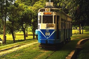 Kolkata to have limited tram routes, more trolley buses