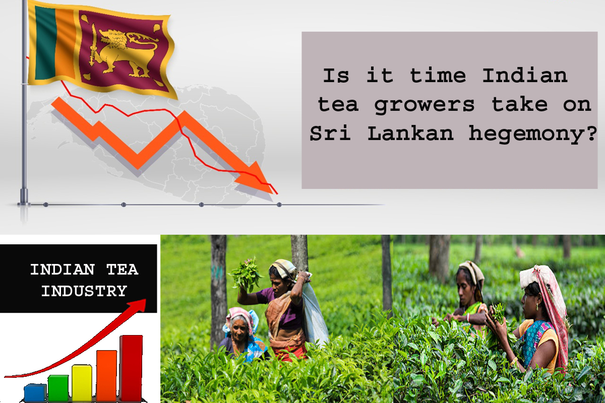 Indian tea, Sri Lanka, tea market