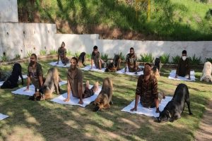 Sniffer dogs of Army in J&K also practice yoga