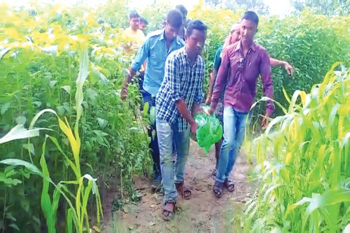 Civic volunteer found dead in Malda