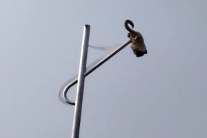 Burglars in K’taka put cow skulls on solar light poles