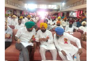‘Bijli Mahotsav’ celebrations in Punjab & Haryana