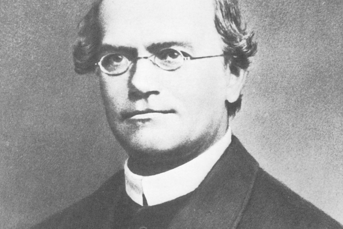 Gregor Johann Mendel, Science