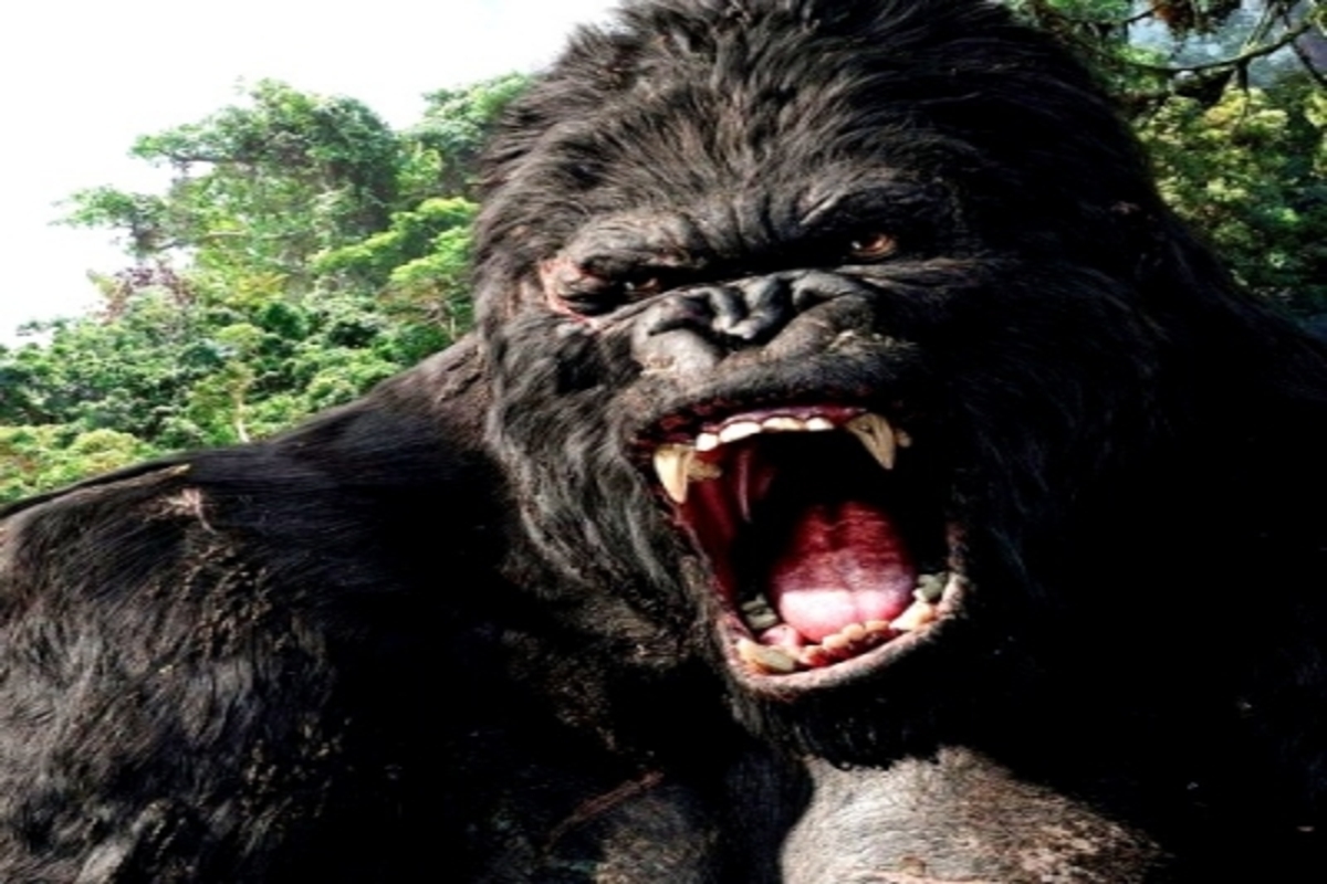 Live-action ‘King Kong’ origin series in early development