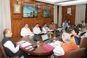 Himachal Pradesh policy to review felling of Khair trees