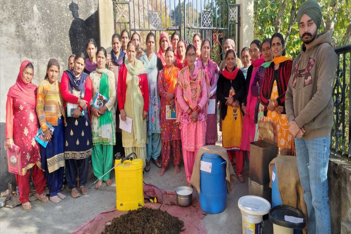 HP women farmers are set to become agro-marketing game changers.