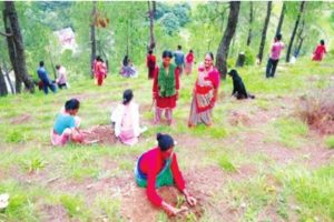 Uttarakhand must revive its Van Panchayats