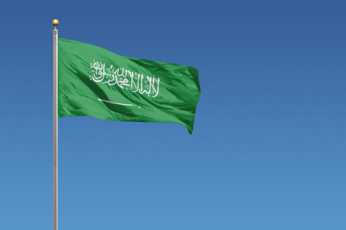 The Saudi teenager