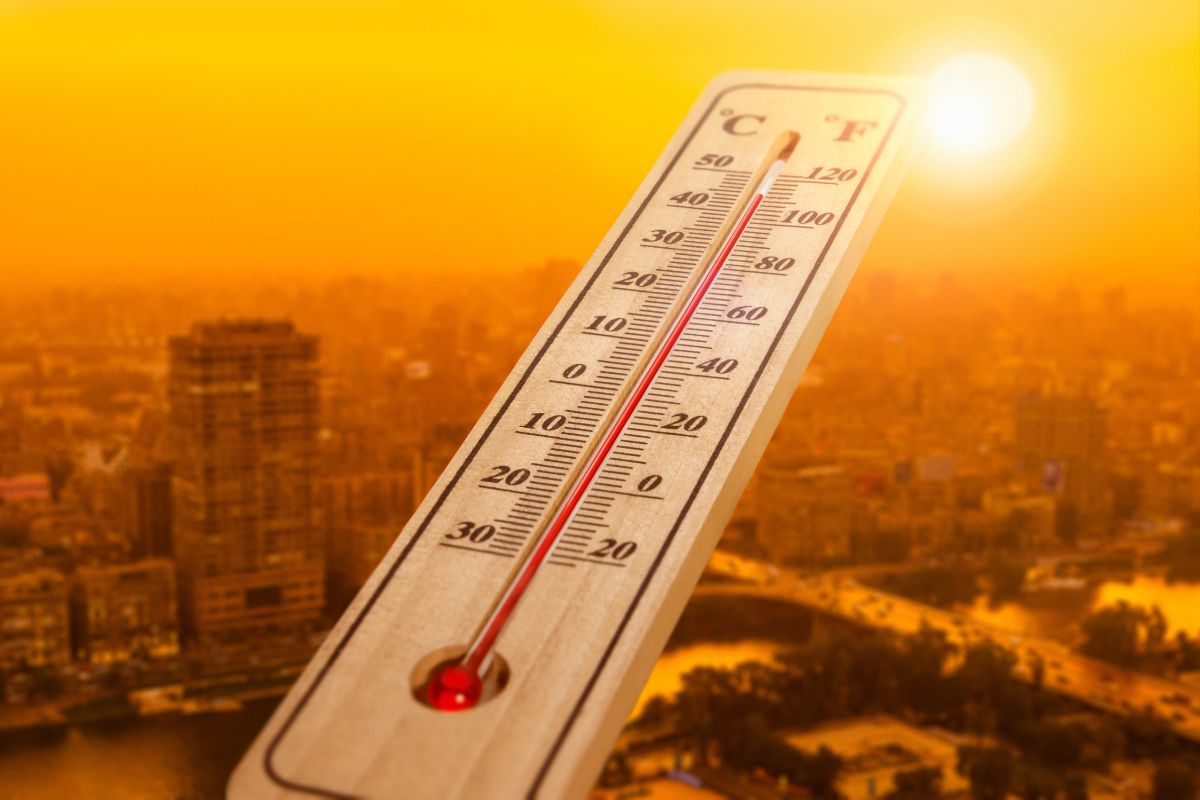 Climate & Industry
