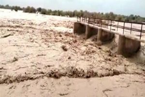 Flood situation in Pak highly likely to boost disease spread: WHO