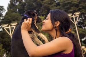  Moreover, there are many dogs that are ill-treated by breeders or abandoned by their owners.