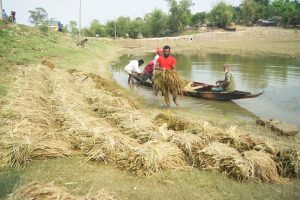 Mochaeffect: Farmers fear crop damage from gusty winds