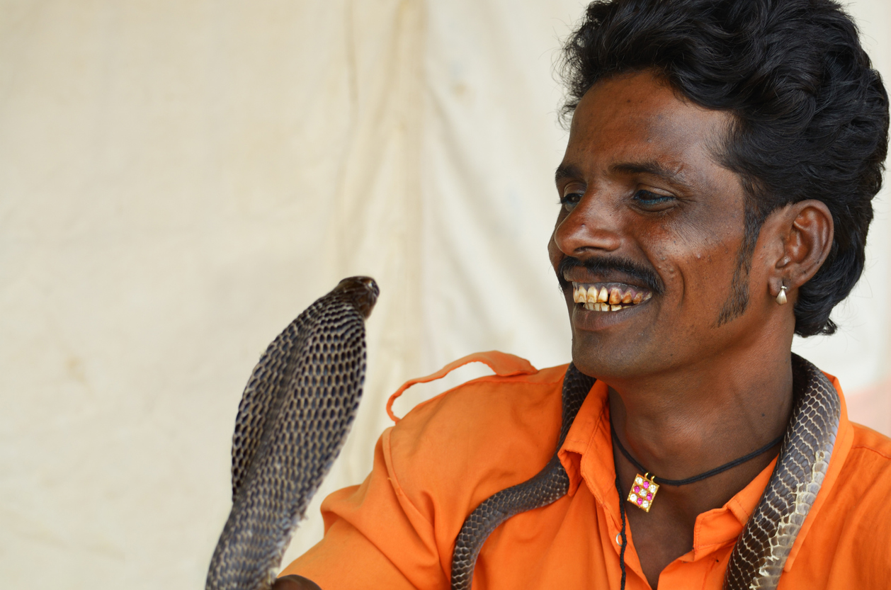 Kalbelia: The snake charmers who survived all the odds against them