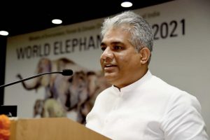 Steps on to bring iconic cheetah back to the India: Bhupendra Yadav