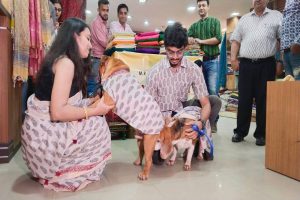 Pets’ day out as they go pandal hopping