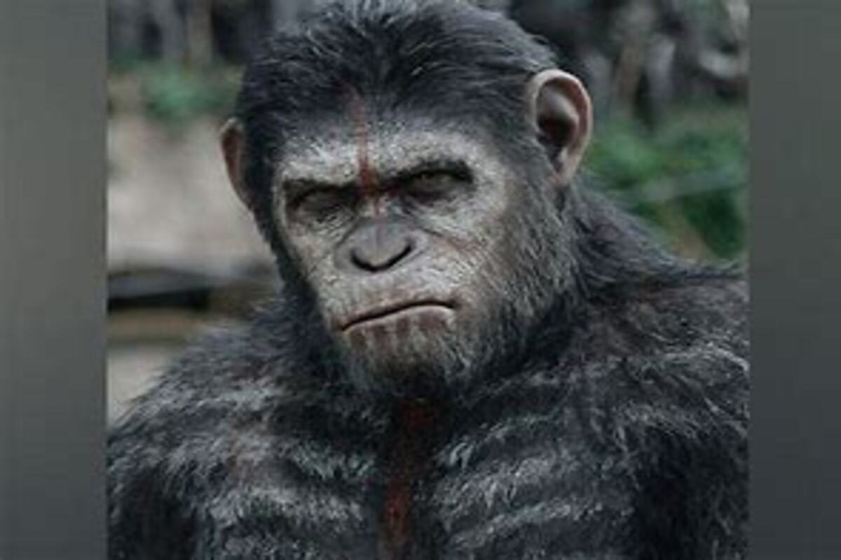 ‘Planet of the Apes’ new film first look, title unveiled