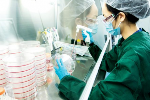 China publishes world’s first stem cell research global standard