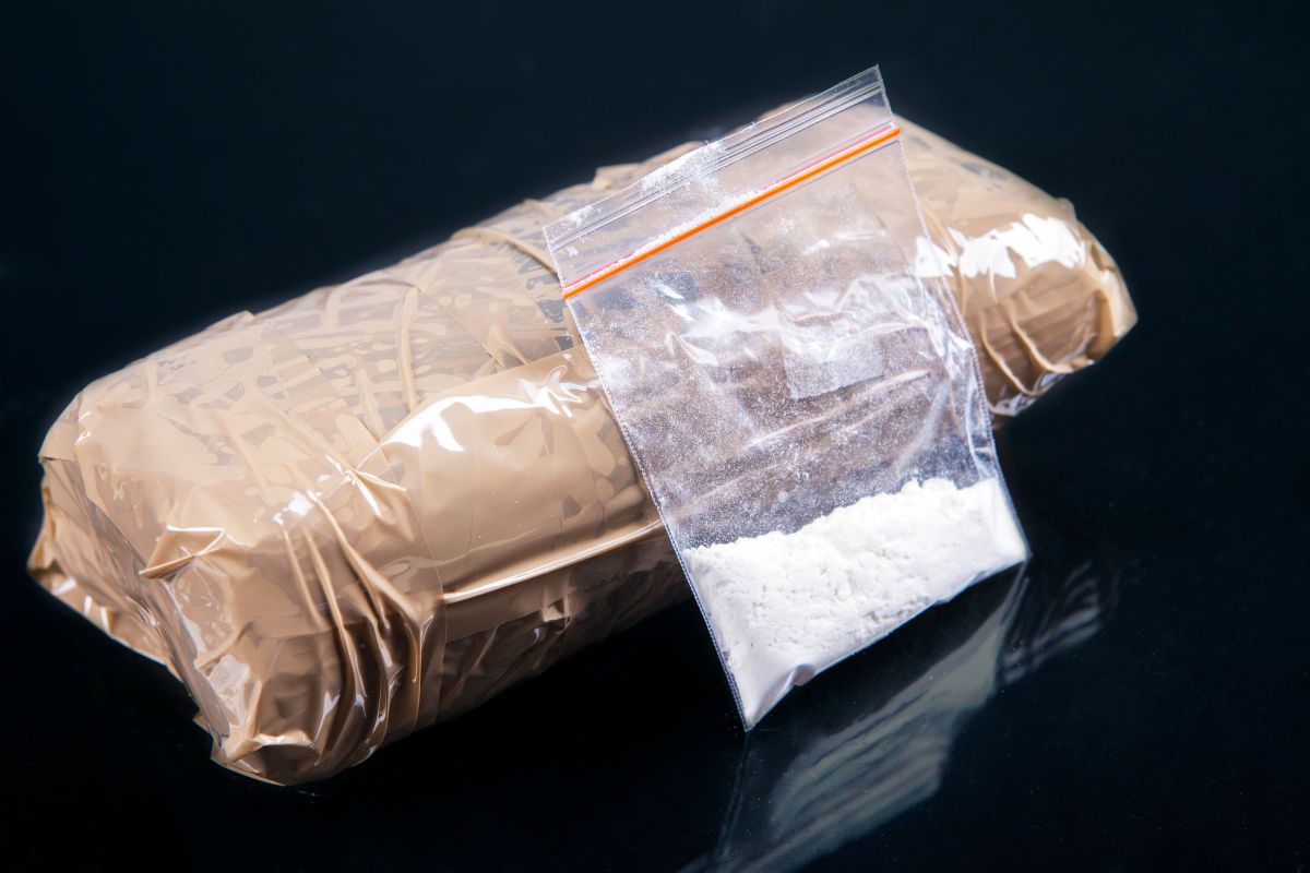 Gujarat ATS, DRI seize heroin worth Rs 200 cr at Kolkata port
