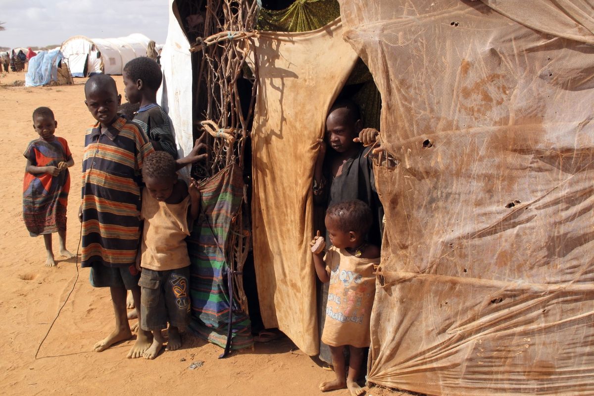 IOM seeks over $50 mn to scale up assistance for 2.5 mn Somalis as famine looms