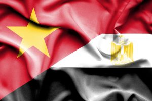 Egypt and Viet Nam to explore bright future of friendship