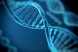 Exposing the evolutionary weak spots of the human genome: Research