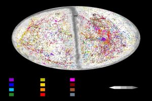 Astronomers map distances in the largest-ever caatalog to 56,000 galaxies