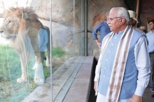 Haryana to develop 10,000-acre safari park