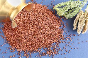Bring millets back in your kitchen for healthy living, says Millet Man