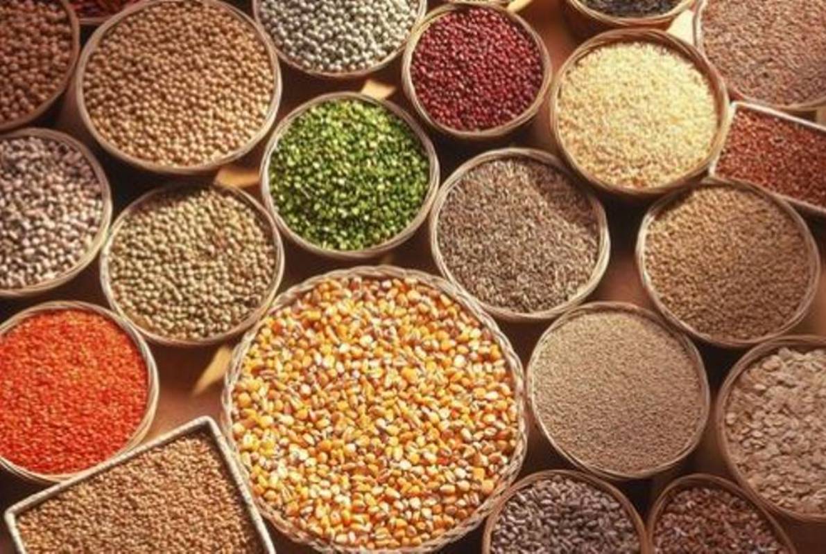 Millets, NATIONAL INTERNATIONAL BUSINESS ENTERTAINMENT SCIENCE/TECH SPORTS IANS LIFE ALL STORIES MORE × Exports of other cereals records spike, rise 53.78% in November