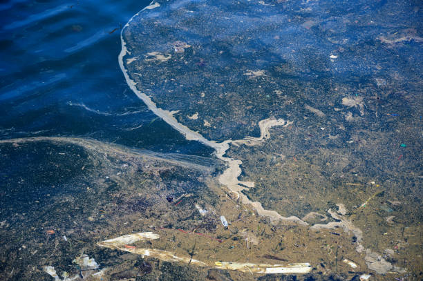 water pollution oil spills effects