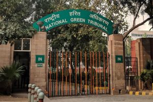 NGT directs levying 1 cr penalty on Odisha sand mining operator