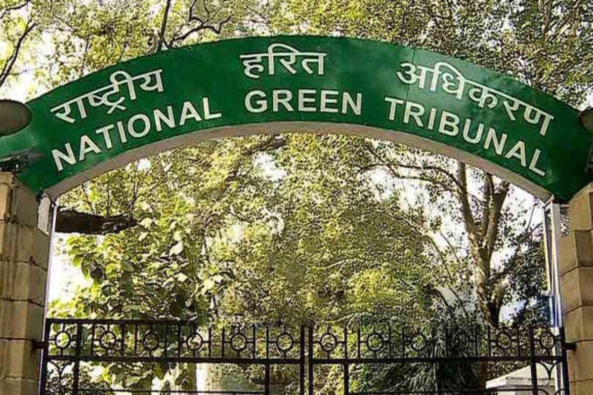 NGT slaps Rs 42-crore fine on Odisha company for illegal mining