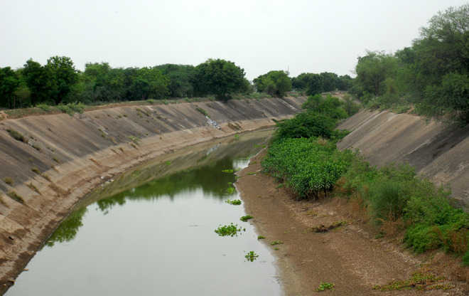 SYL canal issue: Mann-Khattar meet sparks war of words between AAP and opposition parties