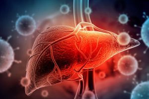 Research suggests livers can stay functional for over 100 years