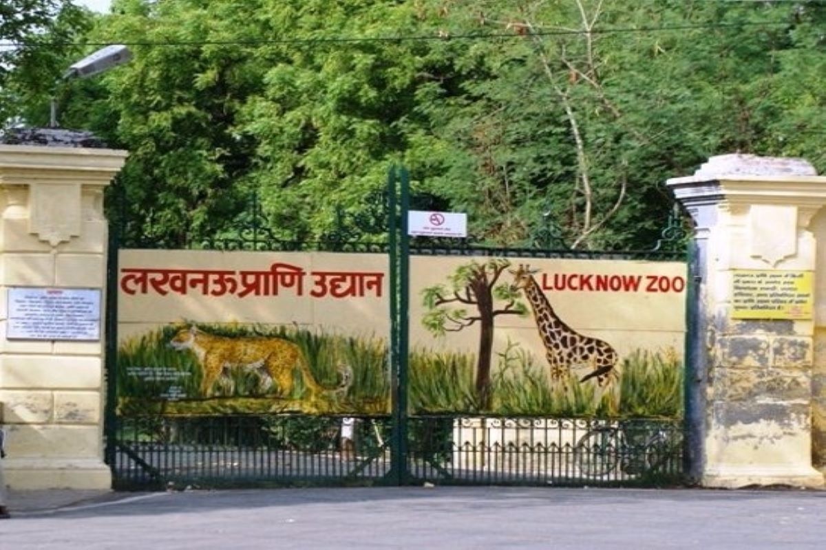 Lucknow, zoo, adventure
