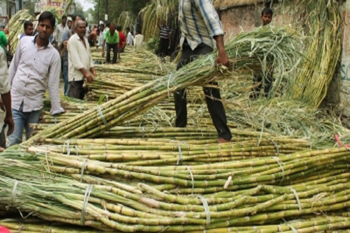 Govt asks sugar mills to export speedily to make early payment to farmers