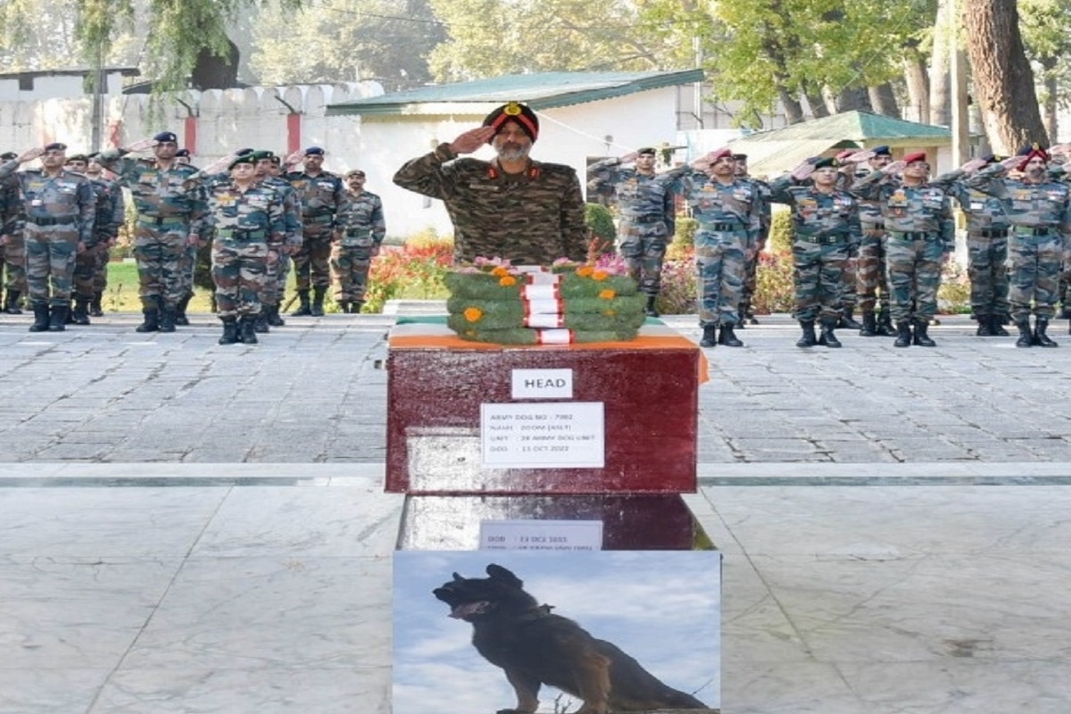 Top brass of Army pay tributes to assault dog ‘Zoom’
