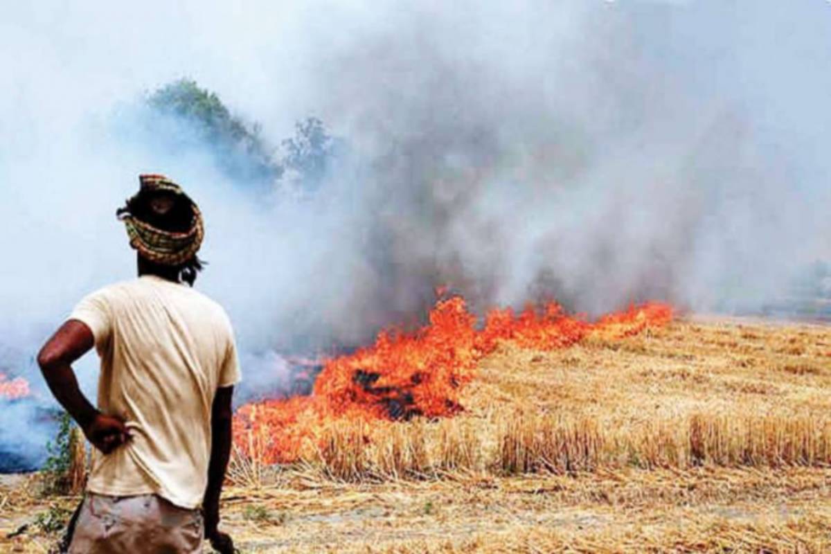 Haryana : Police Station in-charge to be responsible for stubble burning in the area