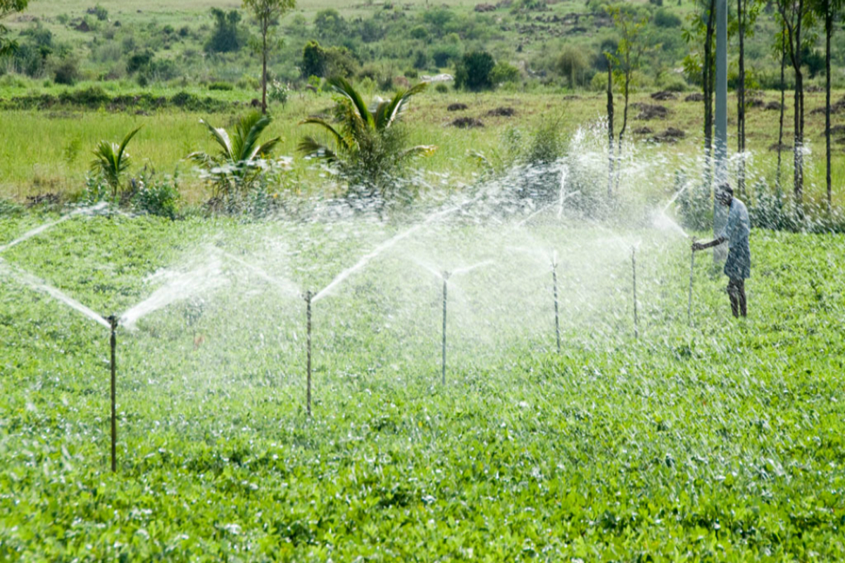 Climate smart water saving agri-technologies need of the hour