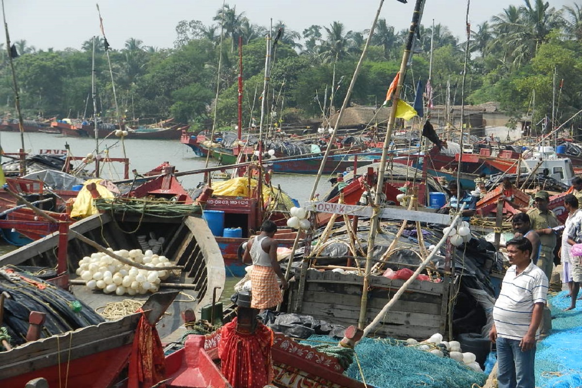 Odisha bans marine fishing in Olive turtle habitation sea corridors