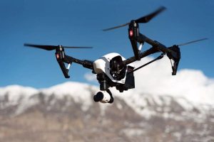 Ladakh to initiate geo, drone mapping of wonder berry