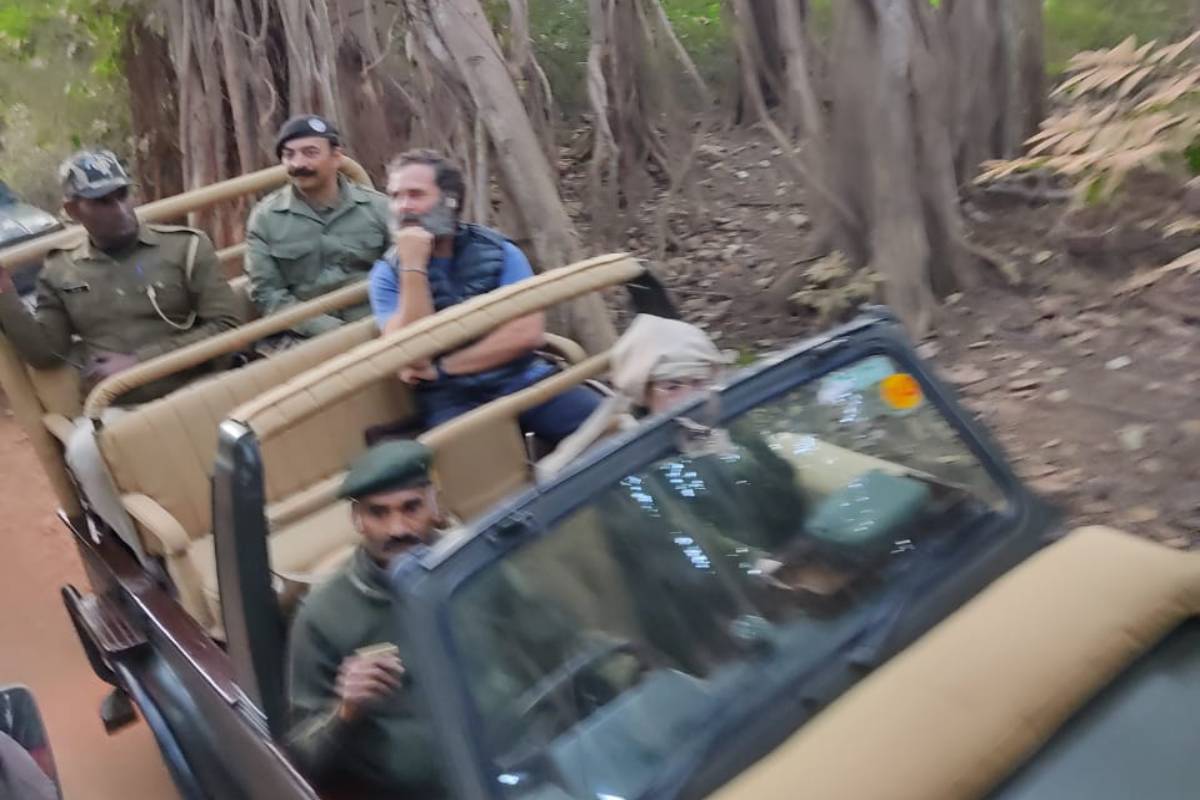 Sonia, Rahul, Priyanka take time off for tiger safari at Ranthambhore national park