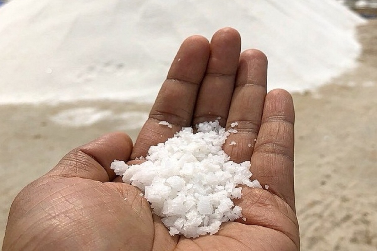 TN to increase salt production