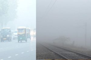 Biting cold, dense fog in North India; 21 trains running late