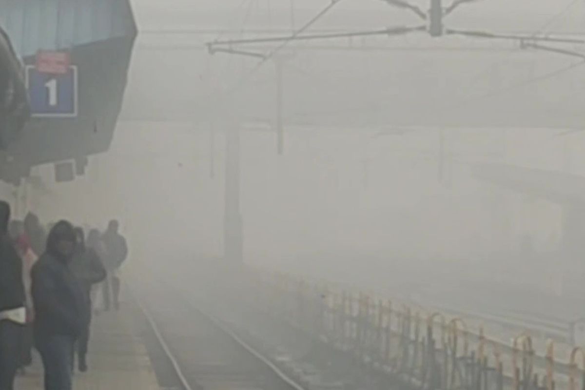 Delhi wakes up to dense fog as cold wave continues in national capital
